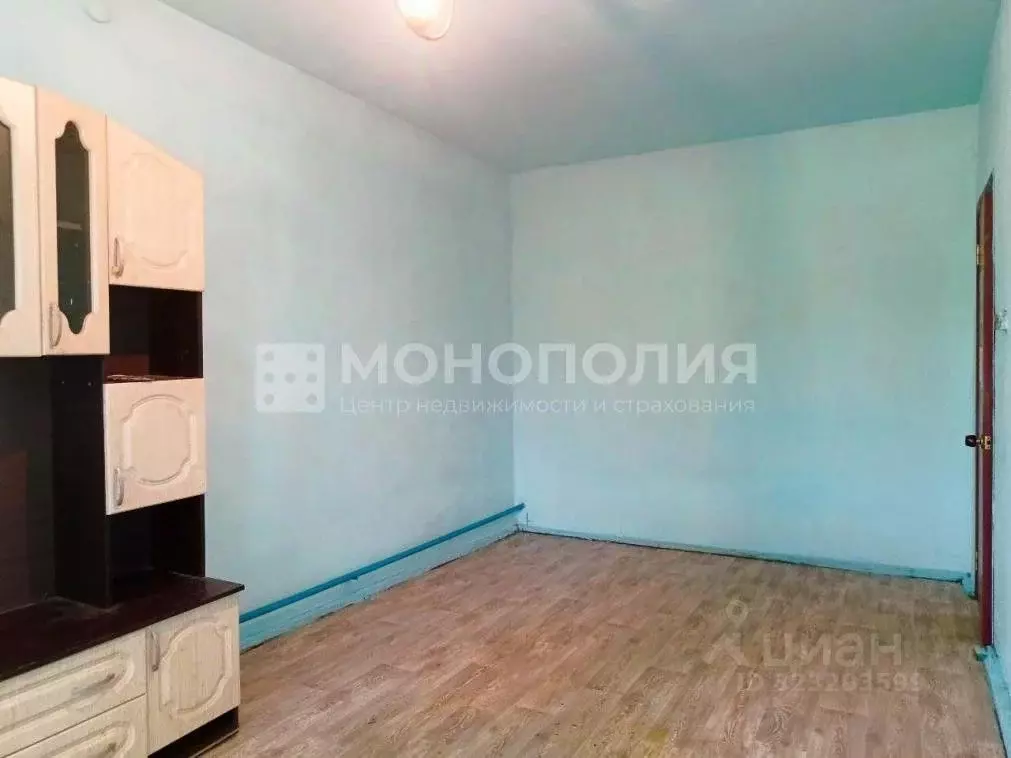 Дом в Амурская область, Серышевский муниципальный округ, с. Белогорка ... - Фото 2