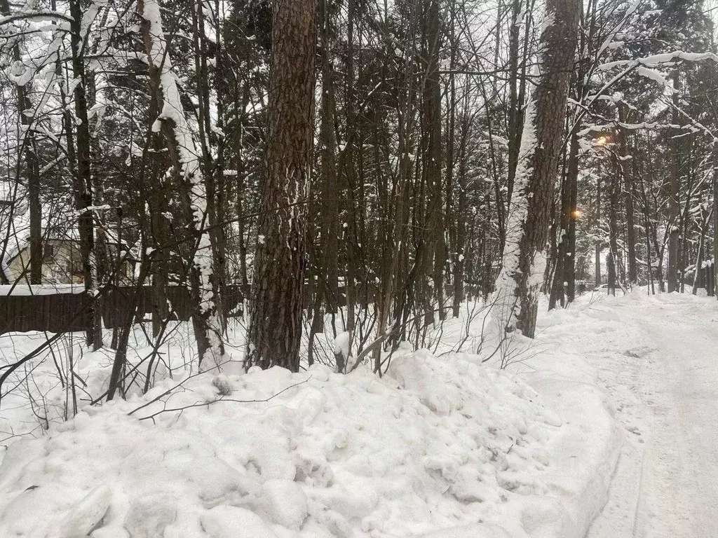 Участок, 10 сот., поселения (ижс) - Фото 1