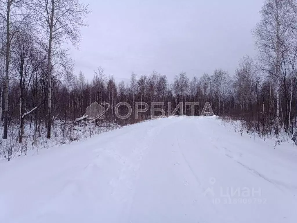 Участок в Тюменская область, Тюменский район, Архитектор СНТ ул. ... - Фото 1