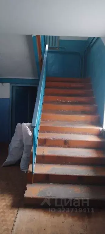 Помещение свободного назначения в Курганская область, с. Половинное ... - Фото 2