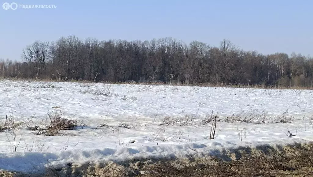 Участок в Тула, Привокзальный территориальный округ (10 м) - Фото 1