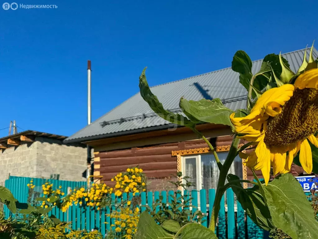 Дом в Прииртышский, Логовая улица (40.7 м) - Фото 1