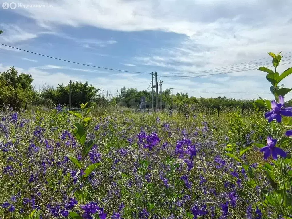 Участок в Саратов, СНТ Полуостров, 1-й Островной проезд (6.51 м) - Фото 2