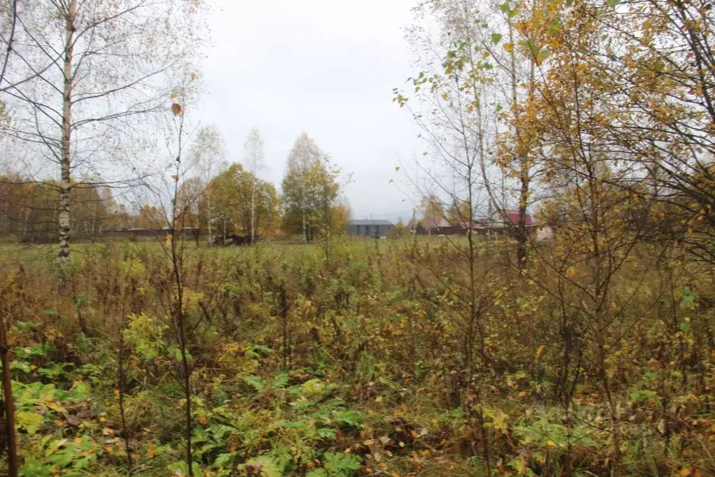 Участок в Московская область, Шаховская муниципальный округ, с. Белая ... - Фото 1