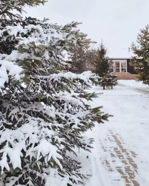 Дом в Омская область, Омский район, с. Красноярка Зеленая ул., 2 (162 ... - Фото 2