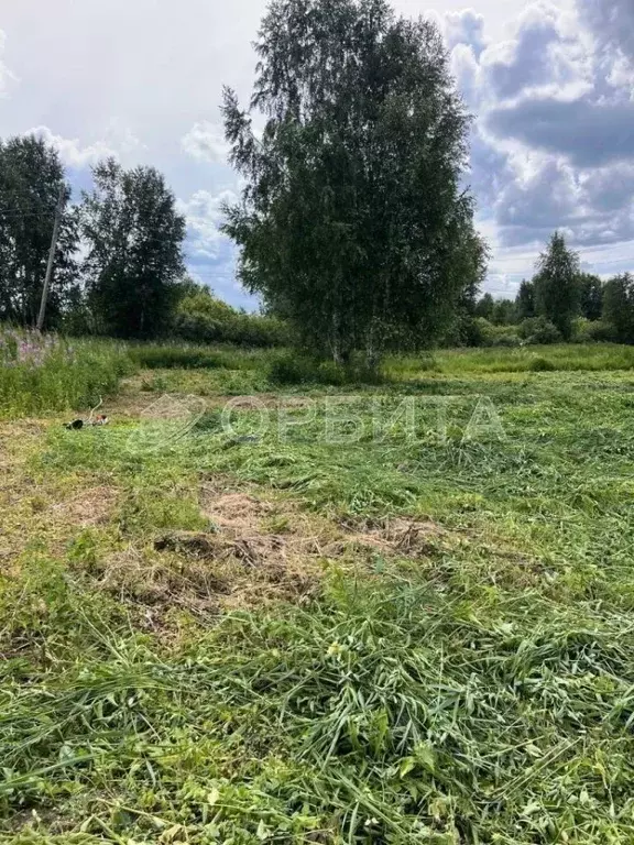 Участок в Тюменская область, Тюмень Садовое товарищество Липовый ... - Фото 2