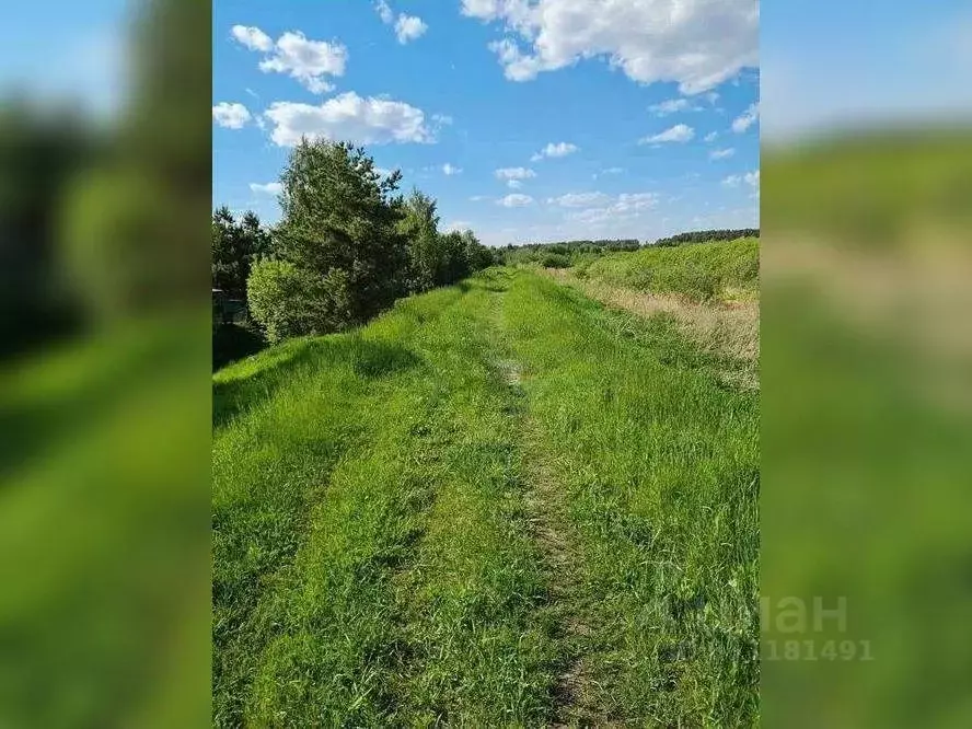 Участок в Тюменская область, Тюменский район, д. Зубарева Центральная ... - Фото 0