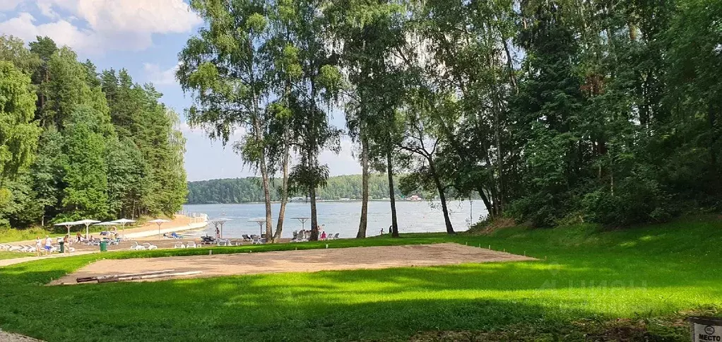 Участок в Московская область, Истра городской округ, д. Лечищево  ... - Фото 1