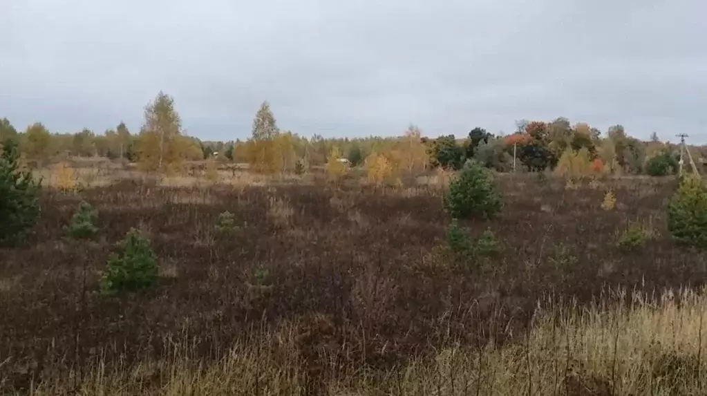Участок в Московская область, Коломна городской округ, д. Свиридоново  ... - Фото 0