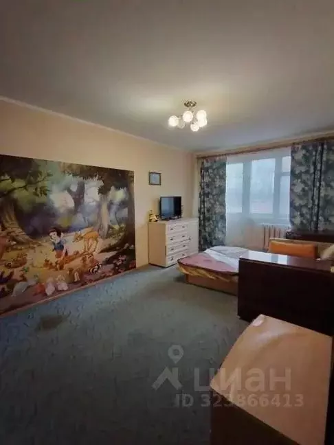 1-к кв. Ленинградская область, Сланцы ул. Максима Горького, 20 (30.2 ... - Фото 2