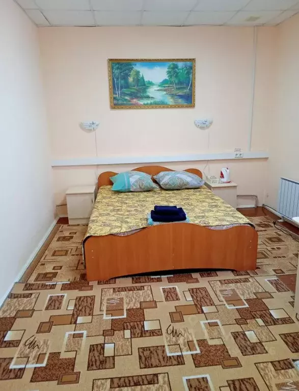 Комната Курганская область, Шумиха Советская ул., 95 (15.0 м) - Фото 1