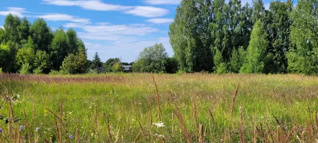 Участок в Татарстан, Верхнеуслонское с/пос, пос. Имени Кирова ул. ... - Фото 0