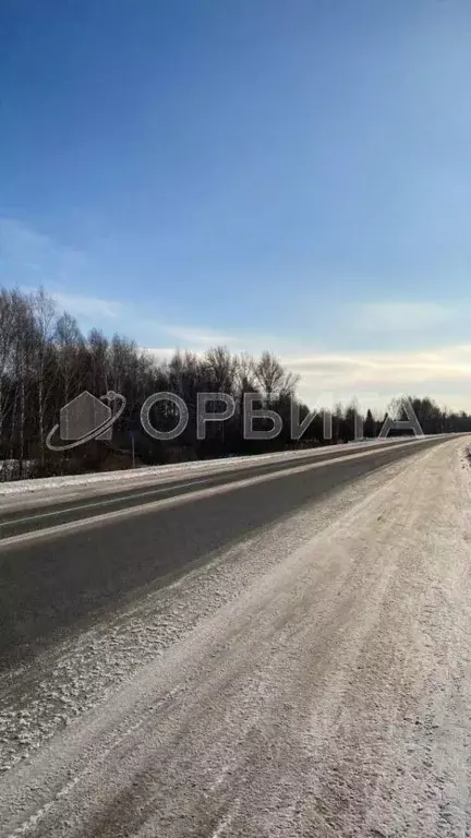 Участок в Тюменская область, Нижнетавдинский район, Разбахта СНТ  (8.0 ... - Фото 1