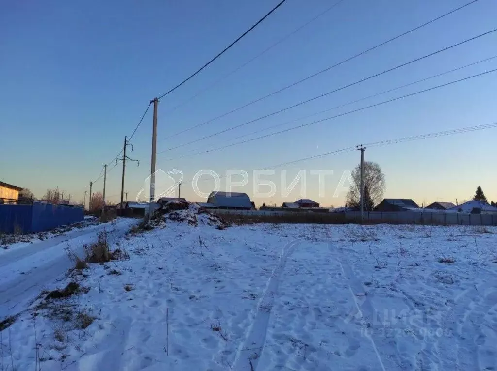 Участок в Тюменская область, Тюмень Матрешка СНТ, ул. Елисеевская ... - Фото 1