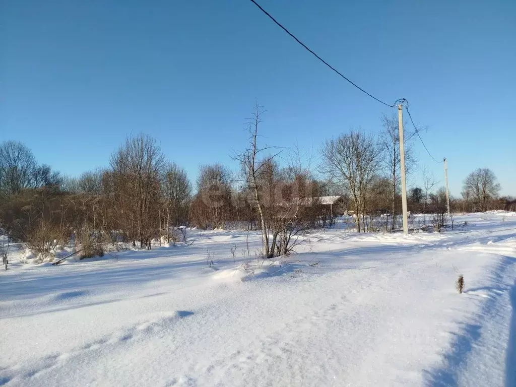 Участок в Псковская область, Остров ул. Энтузиастов (1440.0 сот.) - Фото 2