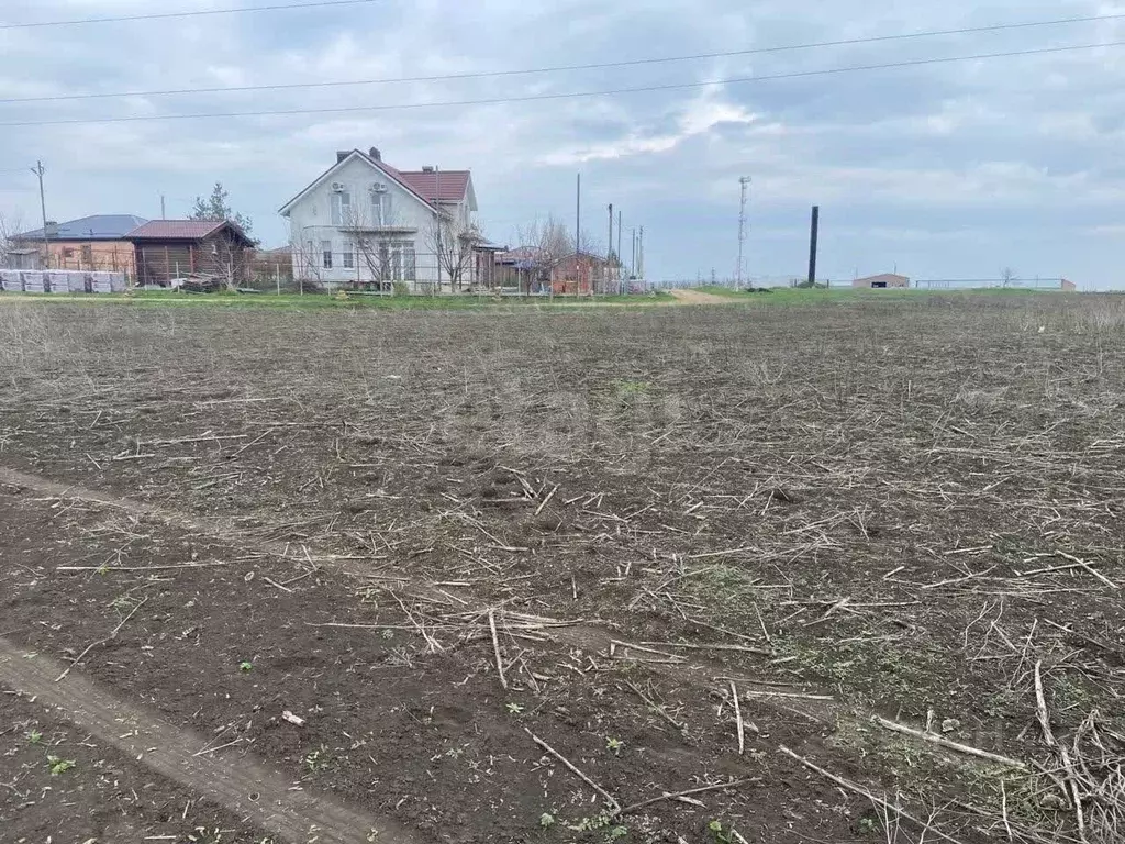 Участок в Ростовская область, Мясниковский район, с. Большие Салы ул. ... - Фото 2