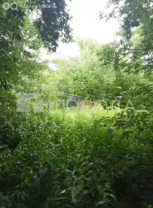 Участок в Томск, улица Кутузова (9.94 м) - Фото 1