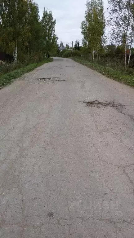 Участок в Новгородская область, Новгородский район, Трубичинское ... - Фото 0