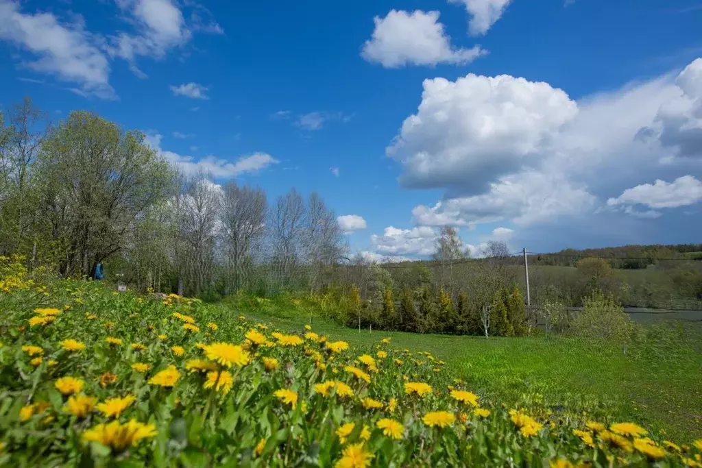 Участок в Московская область, Солнечногорск городской округ, д. ... - Фото 2