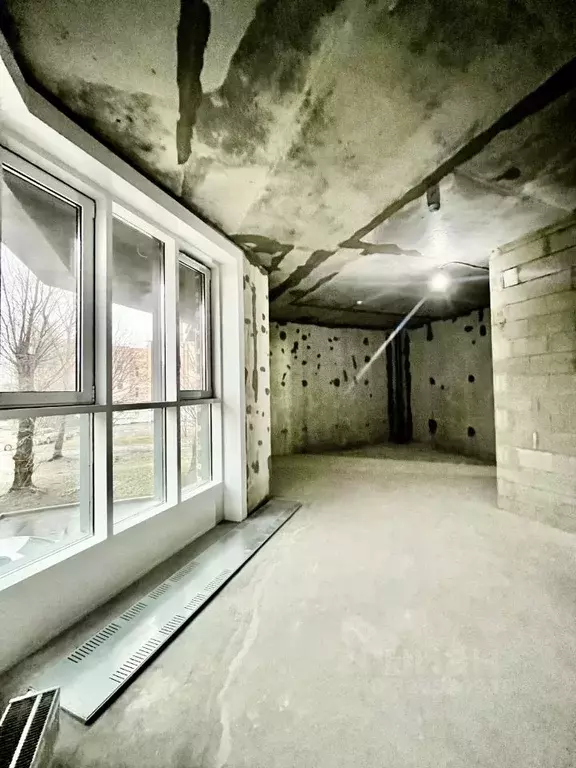 2-к кв. Санкт-Петербург ул. Помяловского, 3 (81.8 м) - Фото 1