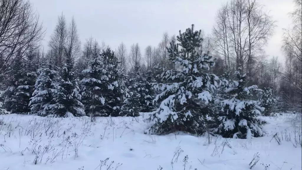 Участок в Тверская область, Калязинский муниципальный округ, д. ... - Фото 1