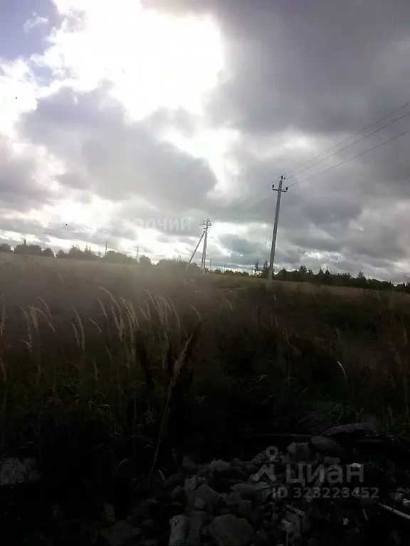 Участок в Чувашия, Чебоксарский муниципальный округ, д. Шанары  (10.0 ... - Фото 1