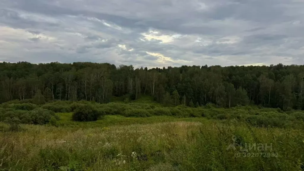 Дом в Кемеровская область, Кемеровский район, д. Солонечная Набережная ... - Фото 0