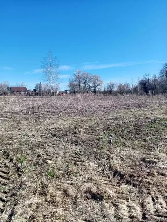 Участок в Тверская область, Конаковский муниципальный округ, д. Крутец ... - Фото 1