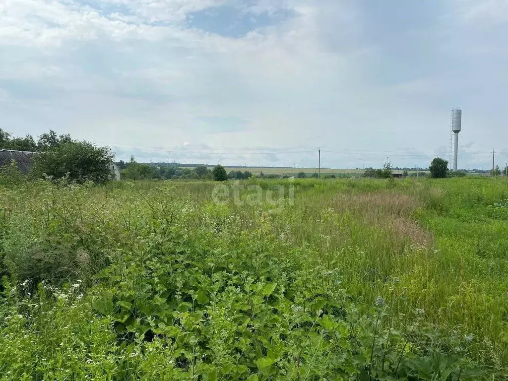 Участок в Брянская область, Выгоничский район, Кокинское с/пос, с. ... - Фото 1