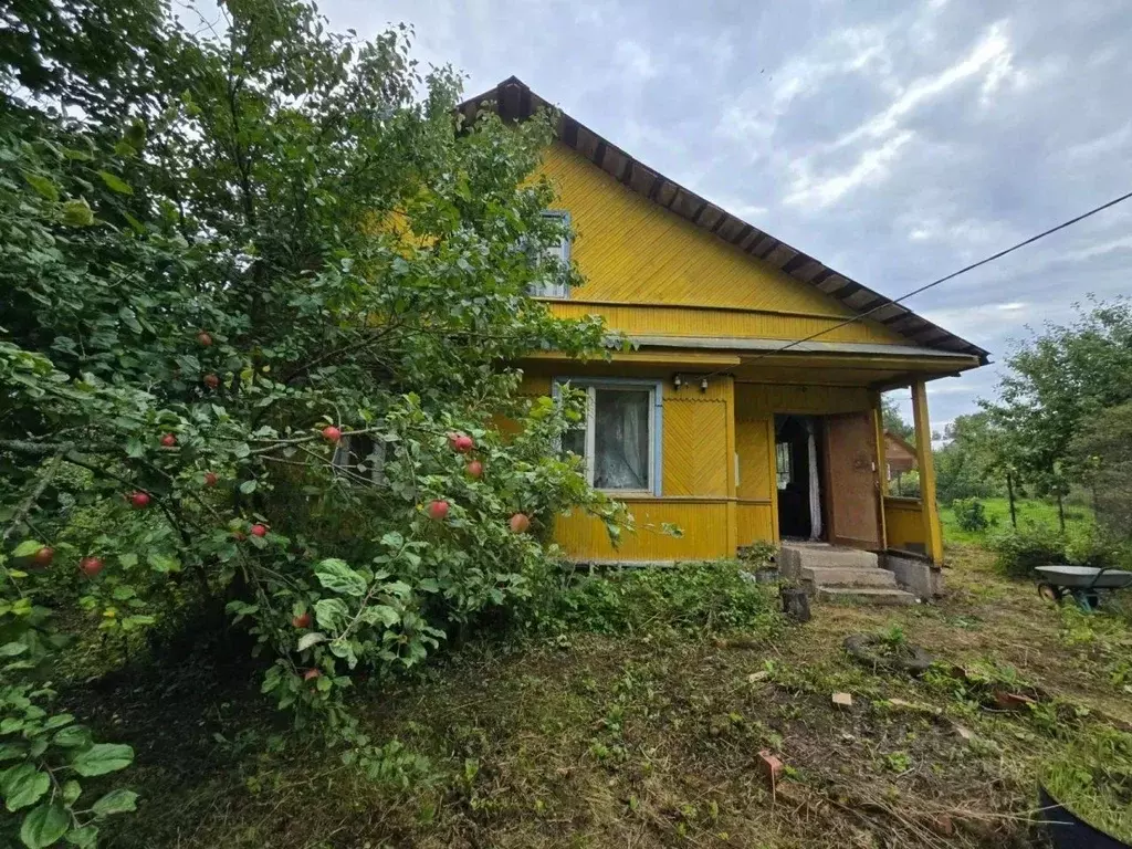 Дом в Ленинградская область, Лужский район, Толмачево городской ... - Фото 1