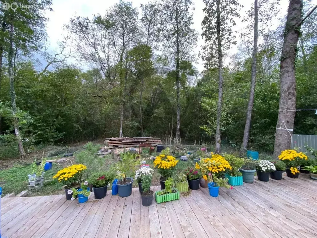 Дом в Краснодарский край, Туапсинский муниципальный округ, аул ... - Фото 1