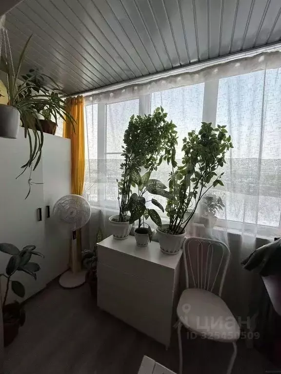 Студия Алтайский край, Новоалтайск Деповская ул., 48 (33.0 м) - Фото 2