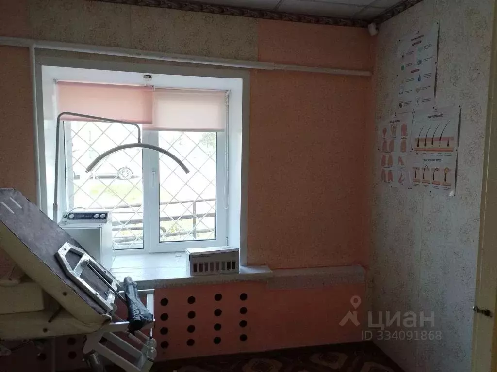 Помещение свободного назначения в Новосибирская область, Мошково рп ... - Фото 2