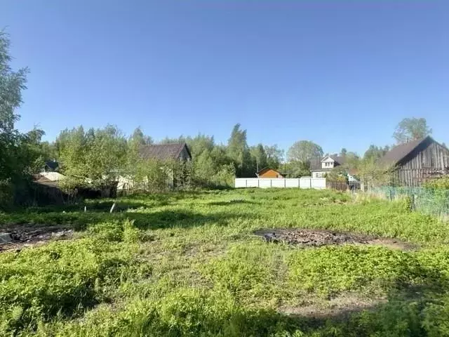 Участок в Ленинградская область, Ломоносовский район, Лебяженское ... - Фото 1