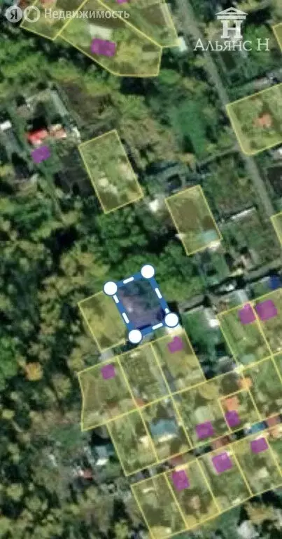 Участок в Камчатский край, Елизовский муниципальный округ, СОТ ... - Фото 2