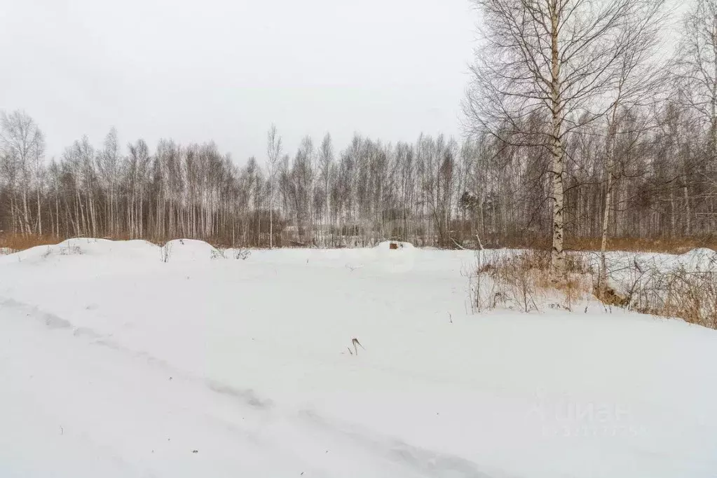 Участок в Тюменская область, Нижнетавдинский муниципальный округ, ... - Фото 0