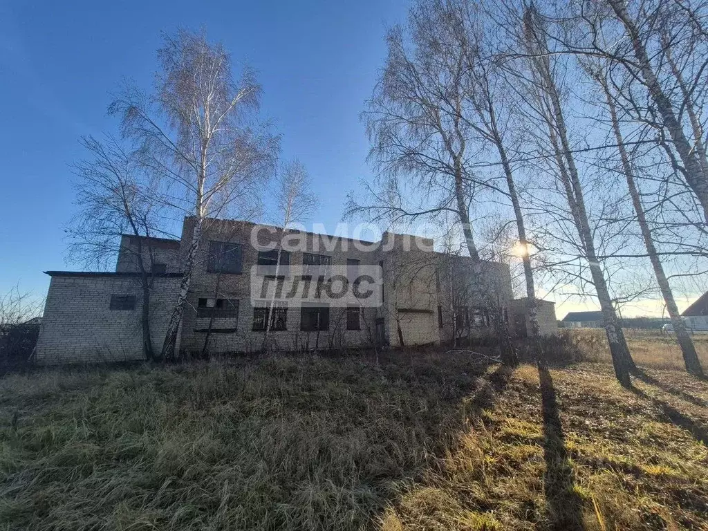 Помещение свободного назначения в Пензенская область, Шемышейский ... - Фото 2