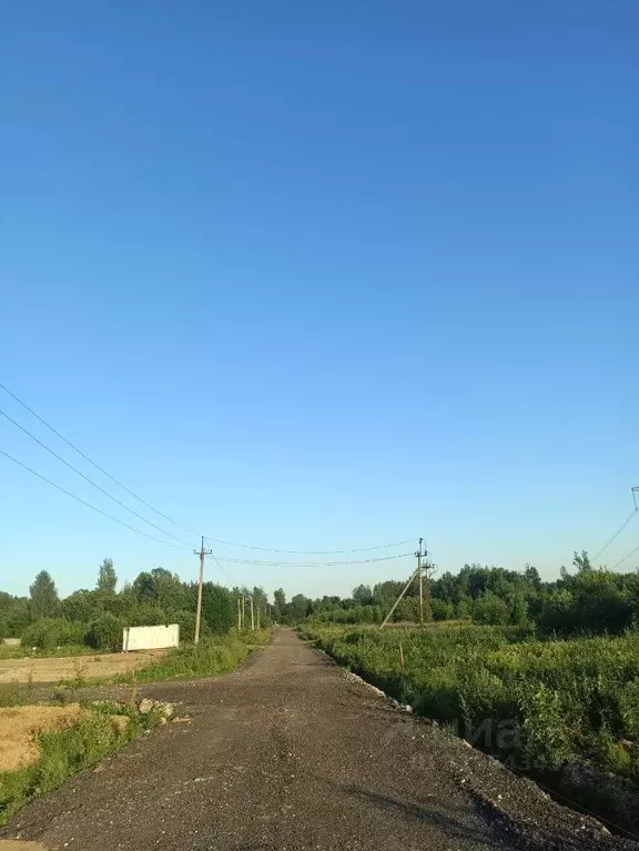 Участок в Московская область, Мытищи городской округ, д. Фелисово, ... - Фото 1