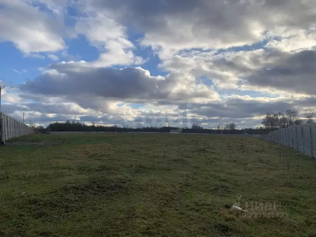 Участок в Калужская область, Боровский муниципальный округ, Совьяки ... - Фото 1