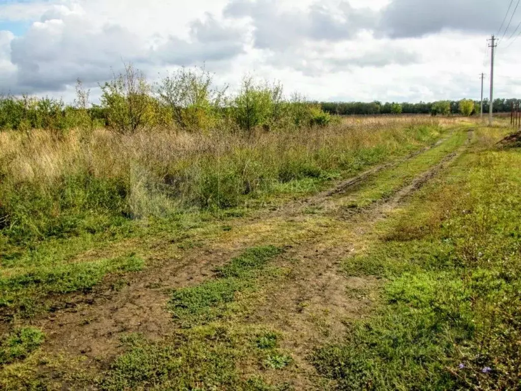 Участок в Тюменская область, Тюмень Большое Царево-2 СНТ,  (10.0 сот.) - Фото 2