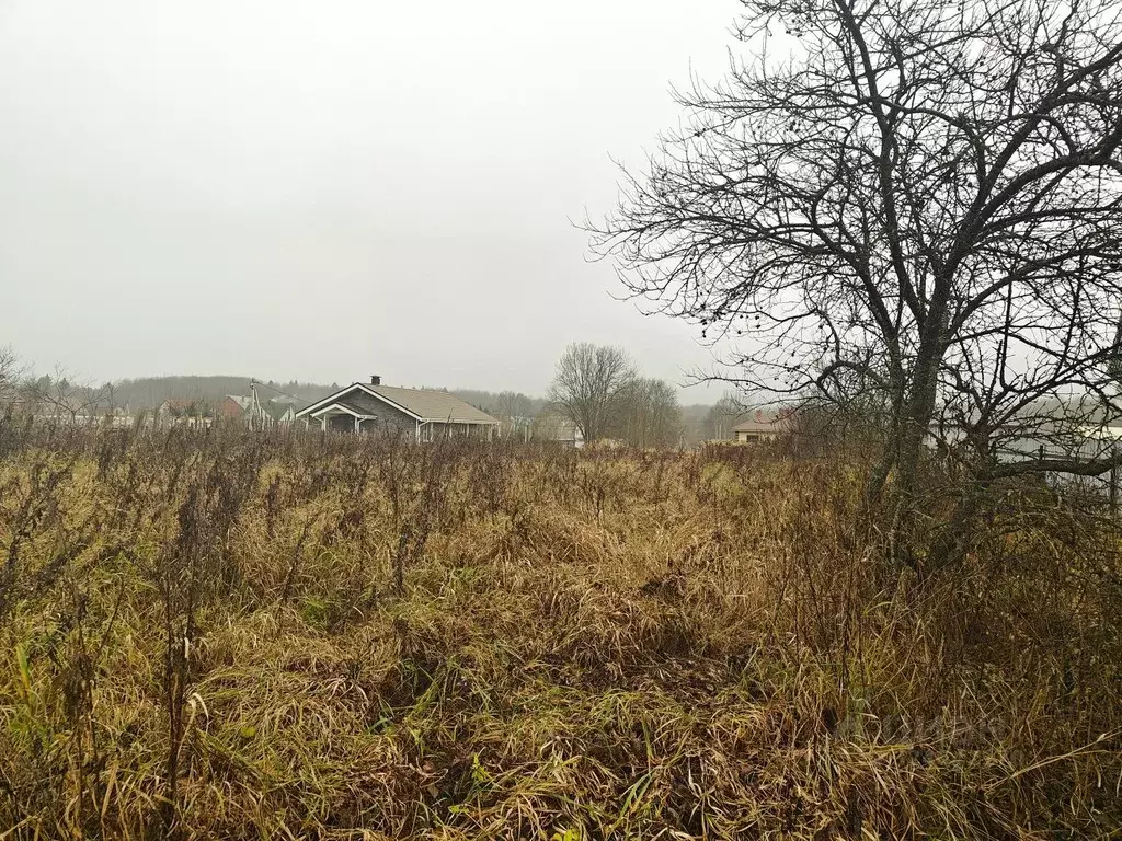 Участок в Московская область, Сергиево-Посадский городской округ, д. ... - Фото 2