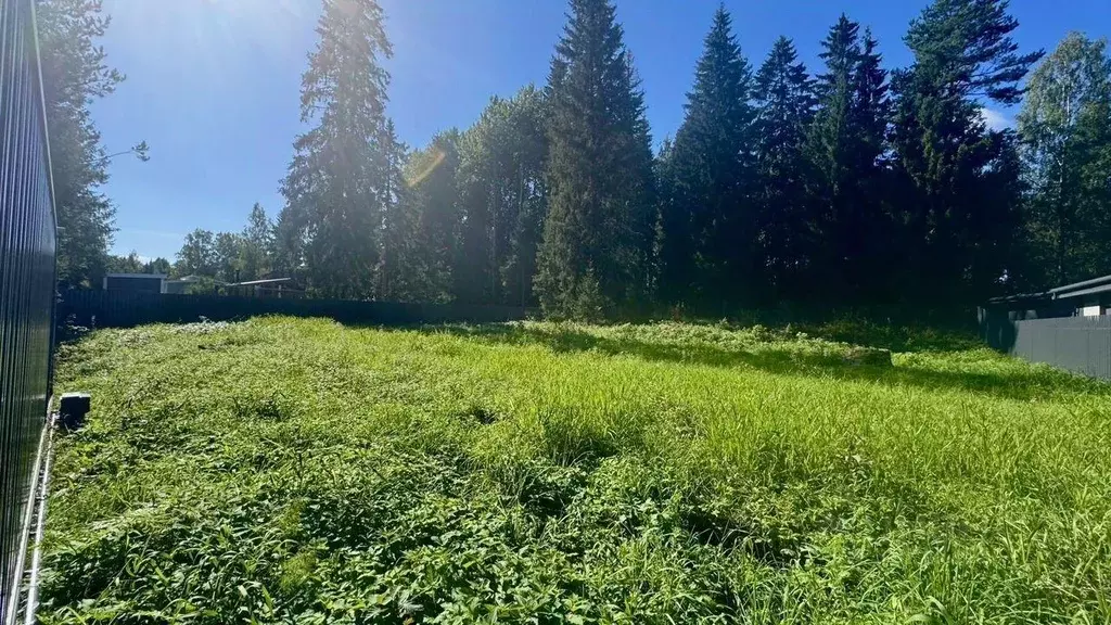 Участок, 12 сот., поселения (ижс) - Фото 2