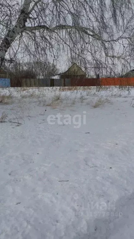 Участок в Курганская область, Шадринский муниципальный округ, с. ... - Фото 0