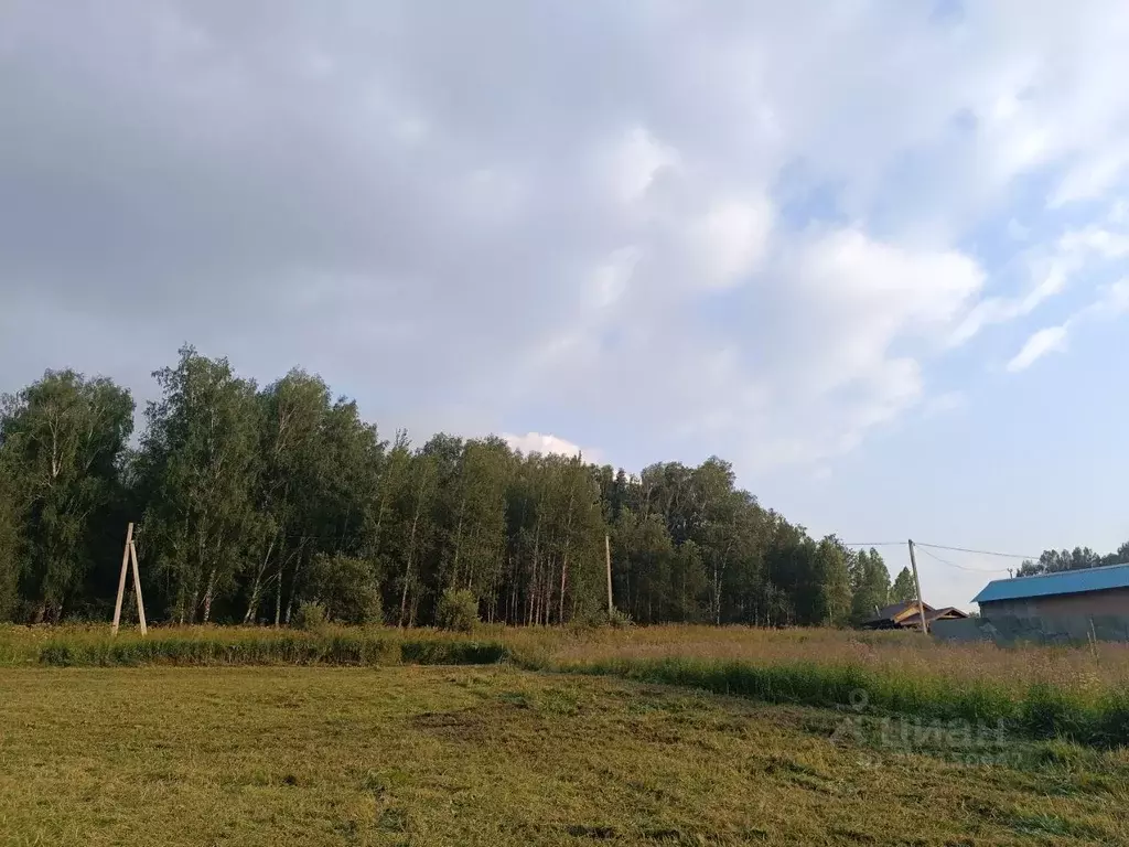 Участок в Новосибирская область, Новосибирский район, Станционный ... - Фото 2
