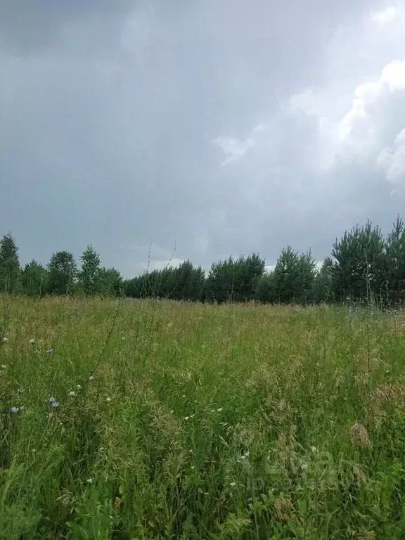 Участок в Курганская область, Кетовский муниципальный округ, с. ... - Фото 2