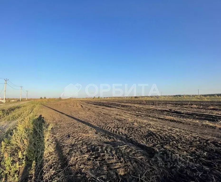 Участок в Тюменская область, Тюменский муниципальный округ, д. ... - Фото 2