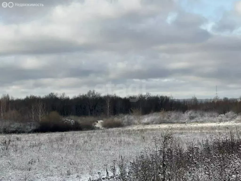 Участок в Саранск, садоводческое товарищество Буревестник (4 м) - Фото 2