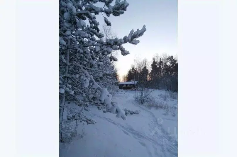 Дом в Карелия, Лахденпохский район, Мийнальское с/пос, пос. Харвиа  ... - Фото 1