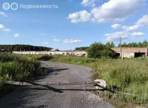 Участок в Белоярский городской округ, деревня Ключи, Уральская улица, ... - Фото 1