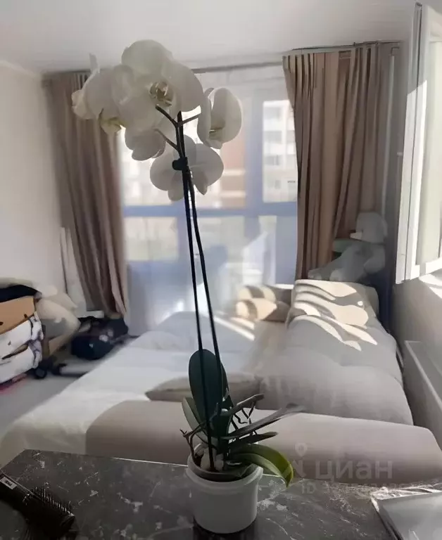 Студия Московская область, Красногорск городской округ, Нахабино пгт ... - Фото 1